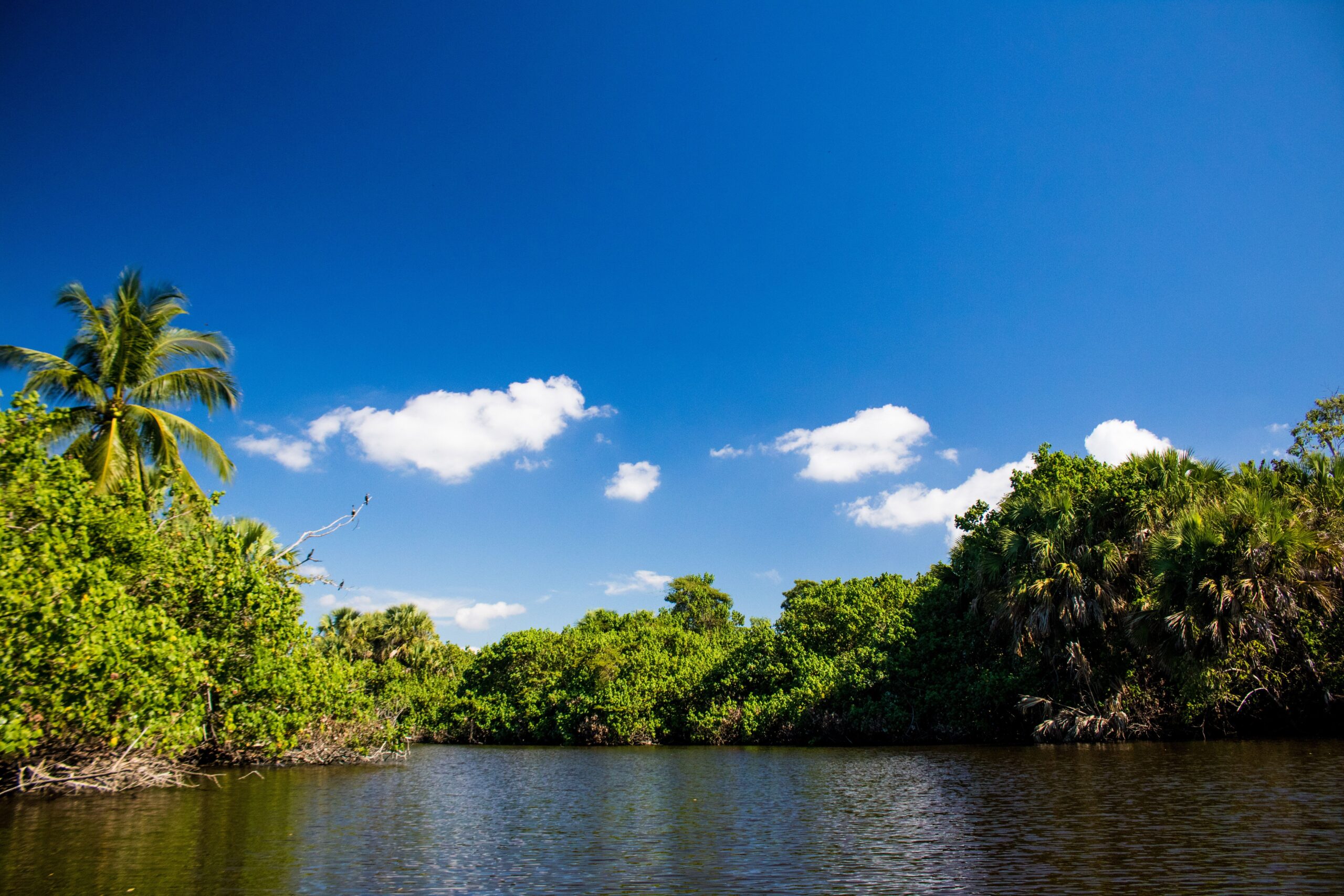 Whiskey Creek, Florida-2